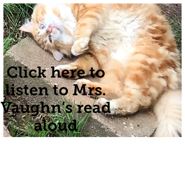 Mrs. Vaughan's Read Aloud