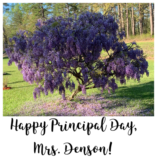 WES Happy Principal's Day, Mrs. Denson!!