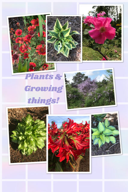 Plants and Growing Things