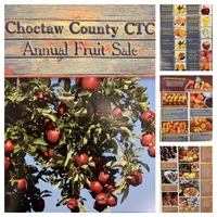 CTC Fruit Sale