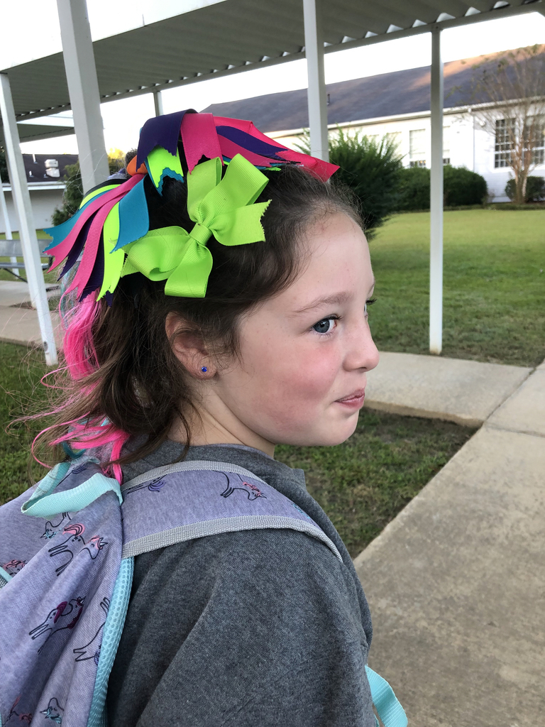 Crazy Hair Day