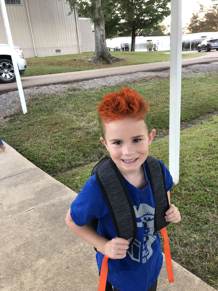 Crazy Hair Day