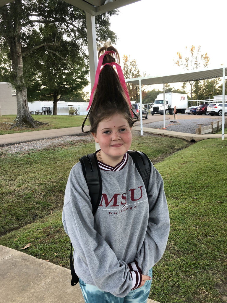 Crazy Hair Day