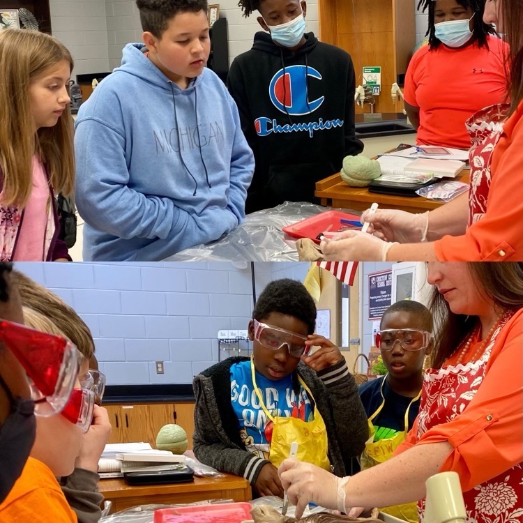 Weir Elementary School Science Dissection Day! #Mrs.Hunt’sClass
