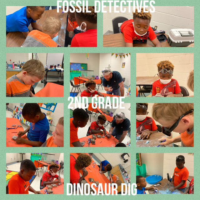 Dino Dig 2nd Grade 1