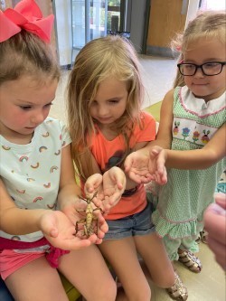 Kindergarten and Pre-K