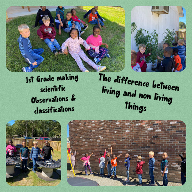Weir Elementary School