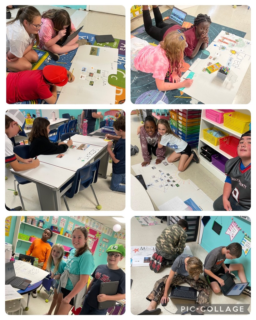 5th science