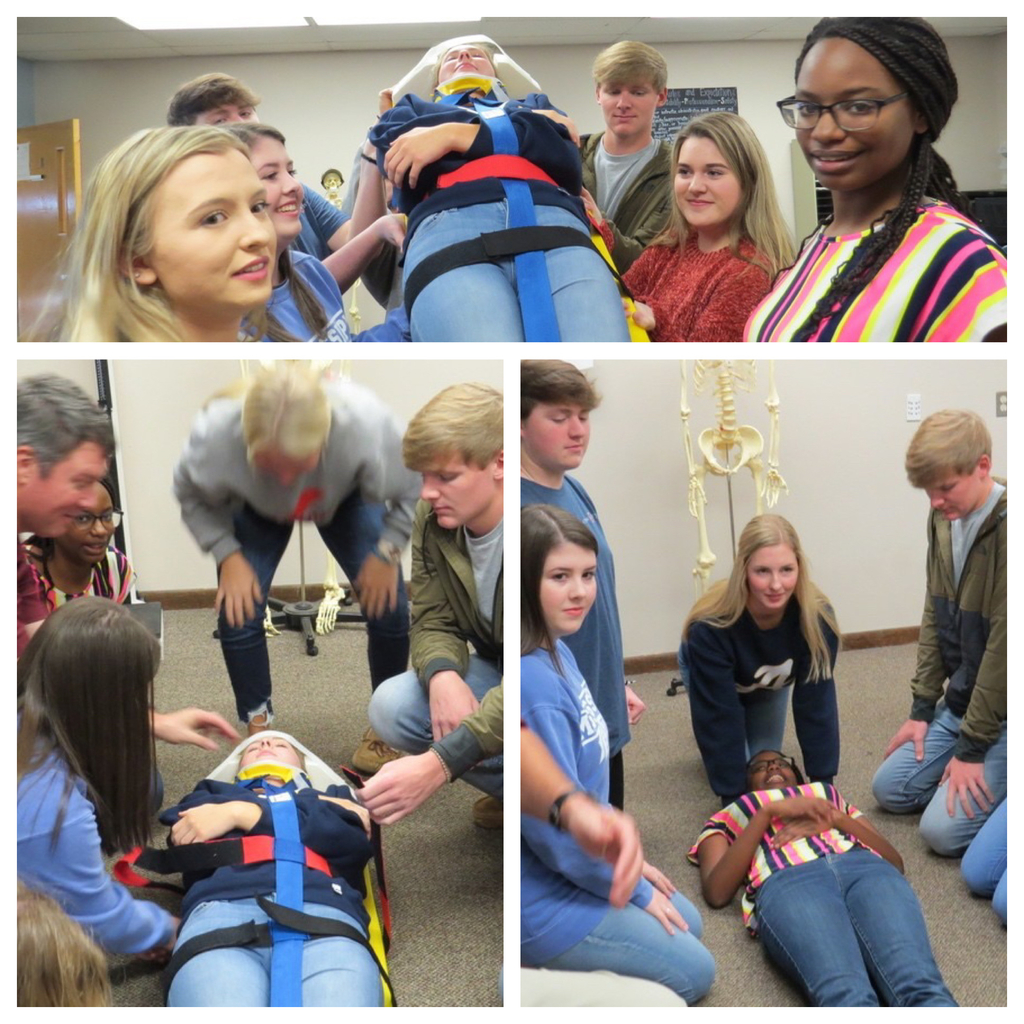 Collage of spine board immobilization by students. 