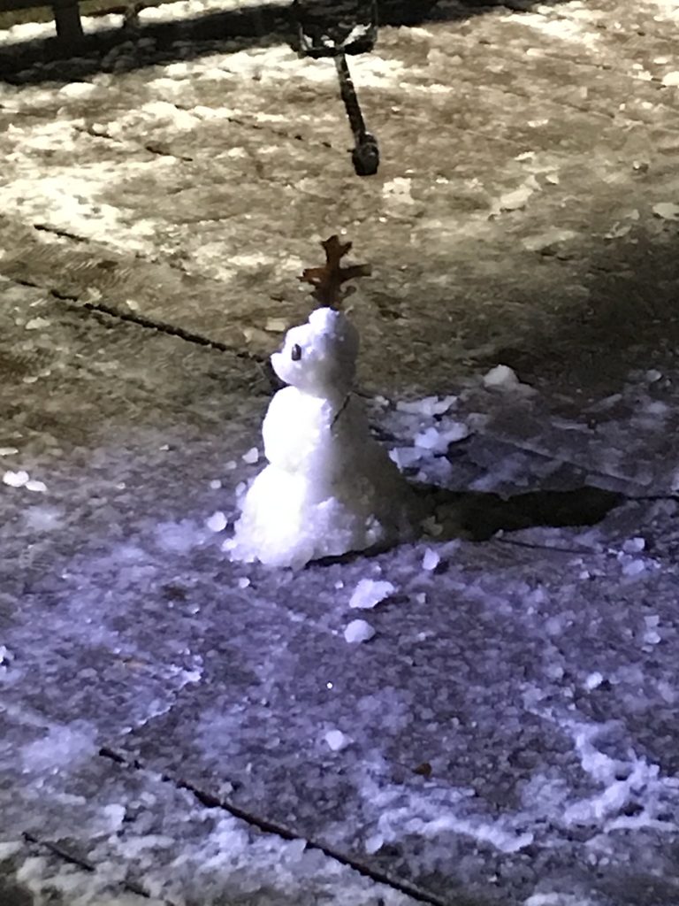 Small snowman!