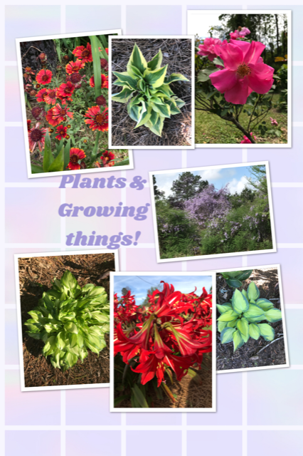 WES PLANTS & GROWING THINGS